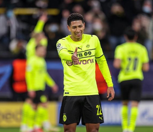 建立起更稳 建立起更稳