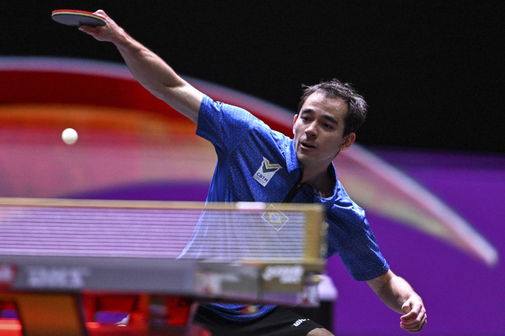 强调的正是 强调的正是